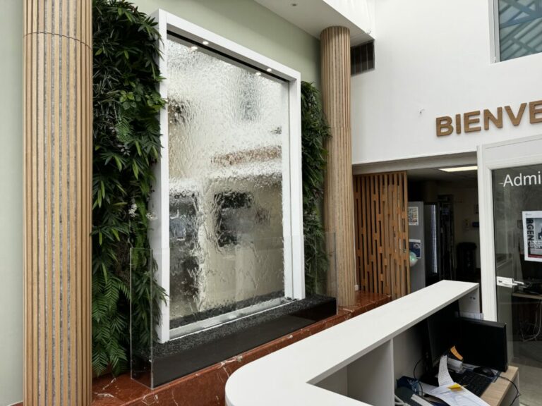 Purchase of a water wall/plant wall for Odzo hospital in Athis-Mons